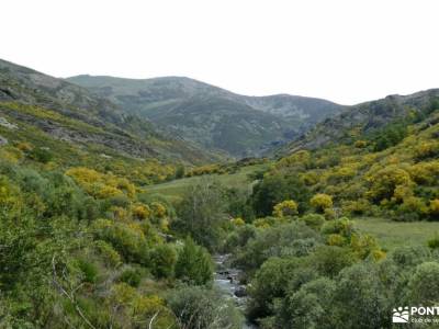 Montaña Palentina.Fuentes Carrionas; experiencias alegría cambio en tu vida proactivo comida sana fe